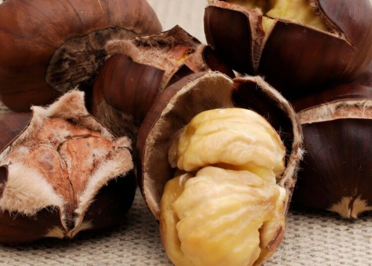 50 yıllık kestane ustasından kolay soyma tekniği