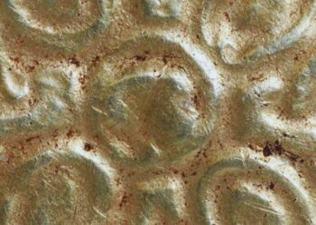 Arkeologları şaşkına çeviren kolye! Tarih kitapları baştan yazılıyor