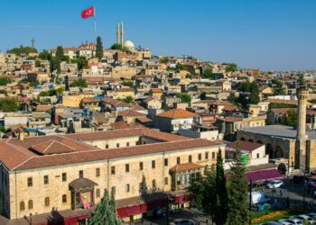 Benzeri görülmemiş istila ilimizi sardı! Uzmanlardan peş peşe uyarı geldi