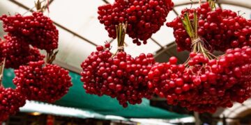 Geliriyle dudak uçuklatan bitki bahçelerde hızla yayılıyor