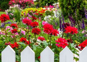 İlkbaharda çiçeklenen bahçeler için kasımda ekilebilecek bitkiler paylaşıldı