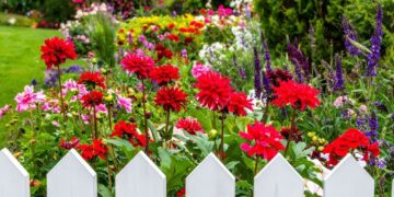 İlkbaharda çiçeklenen bahçeler için kasımda ekilebilecek bitkiler paylaşıldı