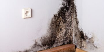 Karışımı duvara sıkın ve 20 dakikada küf tamamen yok oluyor