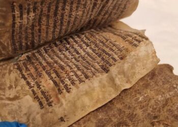 800 yıllık sır! Fok derisinden yapılan Orta Çağ kitabı ortaya çıktı