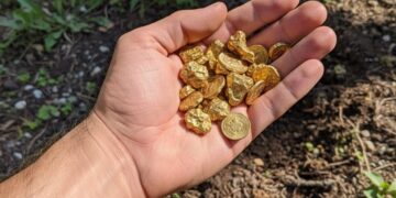 Bahçede 34 milyon TL’lik altın bulan vatandaş devlete gidince sürpriz sonuçla karşılaştı