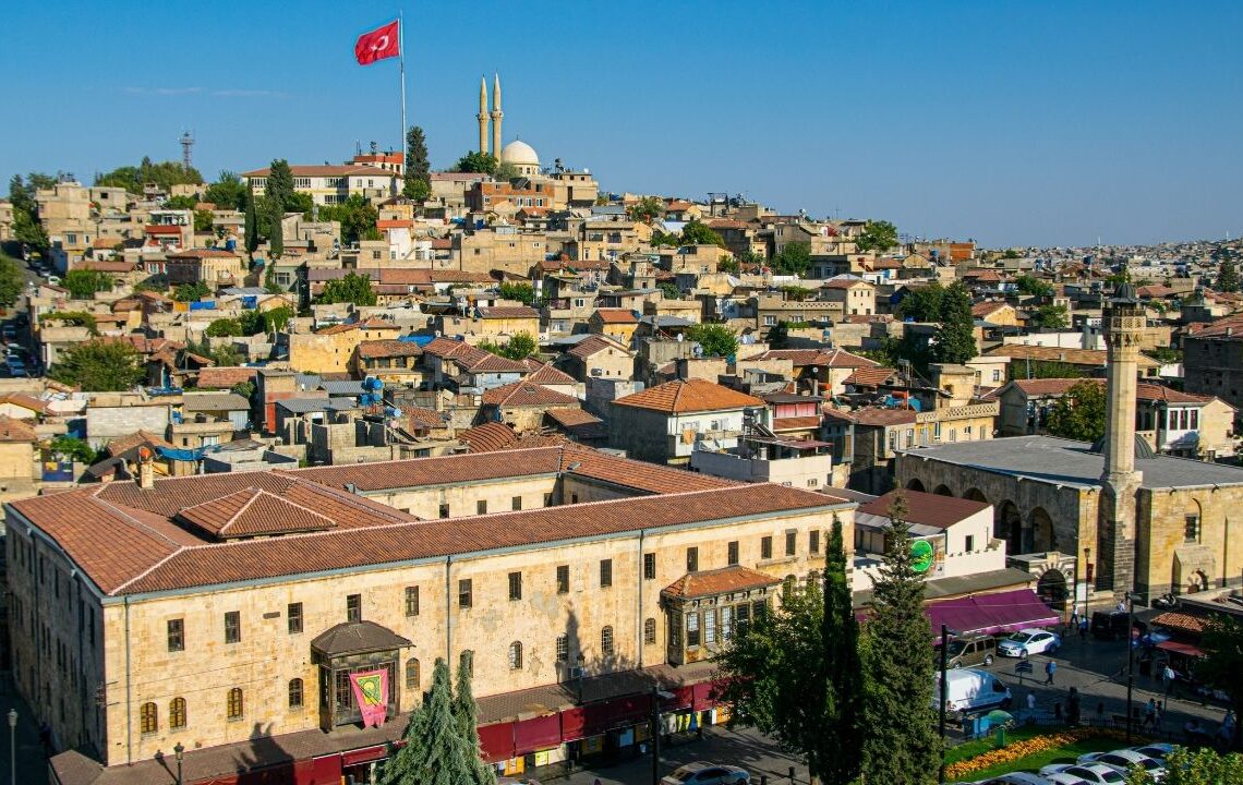 Benzeri görülmemiş istila ilimizi sardı! Uzmanlardan peş peşe uyarı geldi