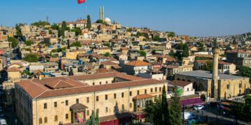 Benzeri görülmemiş istila ilimizi sardı! Uzmanlardan peş peşe uyarı geldi