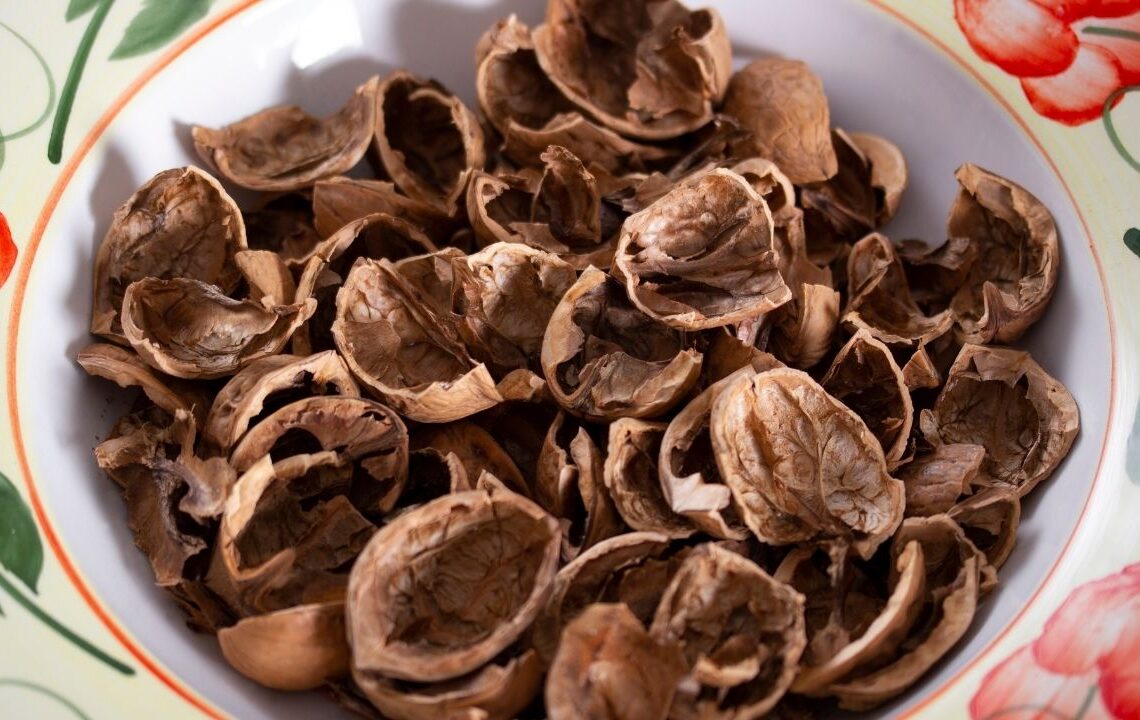 Ceviz kabuğunu çöpe atmadan önce iki kez düşünün! Şaşırtıcı 6 kullanım alanı