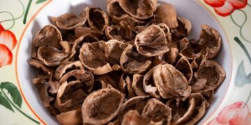 Ceviz kabuğunu çöpe atmadan önce iki kez düşünün! Şaşırtıcı 6 kullanım alanı