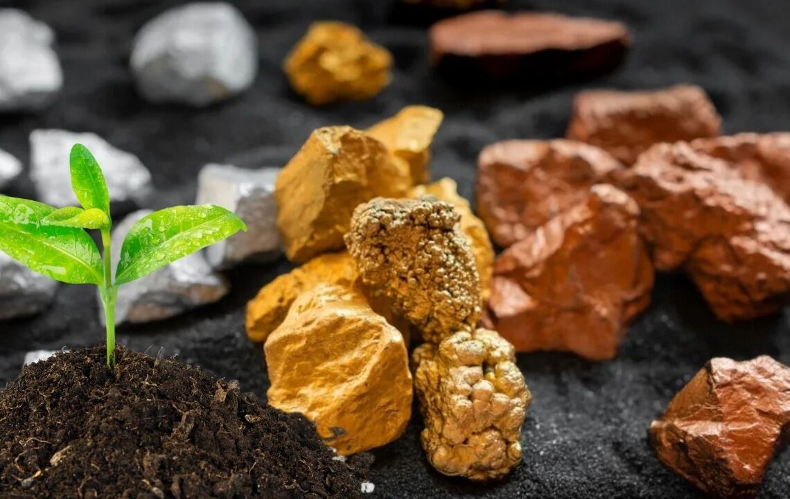 Dünyada ilk canlı bir bitkiden nadir element elde edildi