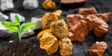 Dünyada ilk canlı bir bitkiden nadir element elde edildi