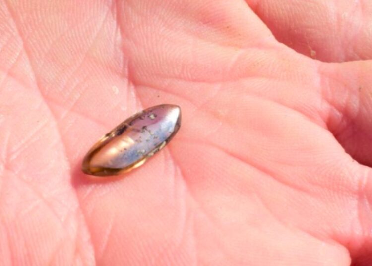 Parkta elekle elmas arayıp servet değerinde taş buldu