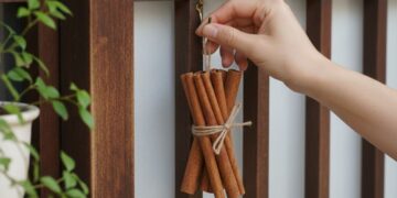 Japonların ön kapılarına tarçın asmaları tesadüf değilmiş