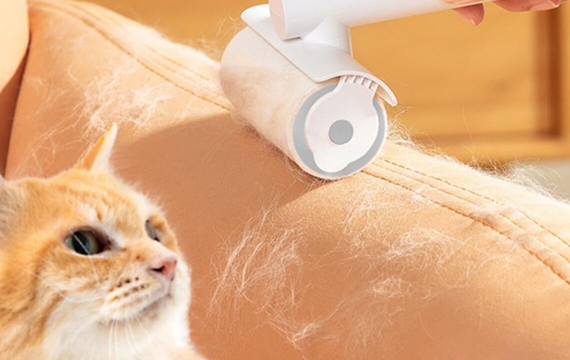 Koltuk ve halılardaki hayvan tüylerini saniyeler içinde temizleyen yöntem