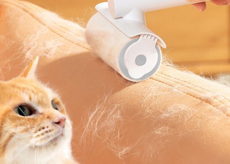 Koltuk ve halılardaki hayvan tüylerini saniyeler içinde temizleyen yöntem