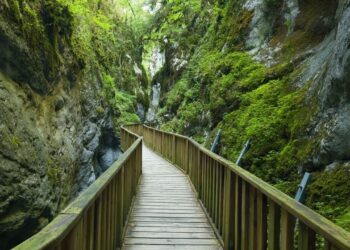 Turistler akın akın gidiyor! Türkiye’de dünyanın Cenneti’ne giden yol
